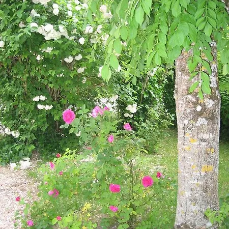 Bed & Breakfast Le Jardin De Rose