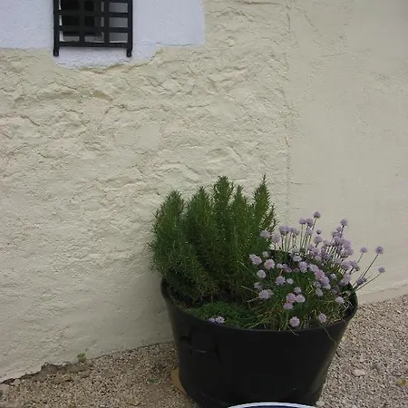 Bed & Breakfast Le Jardin De Rose Romagne (Vienne)