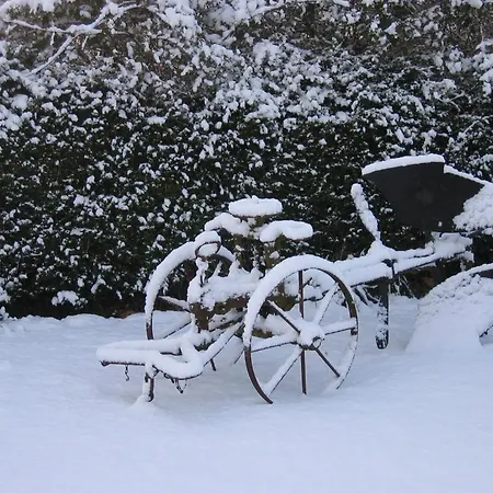 Le Jardin De Rose Bed & Breakfast Romagne (Vienne)